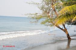 The beach.